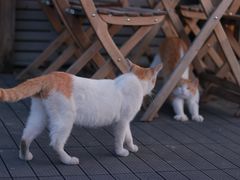 -前叁門