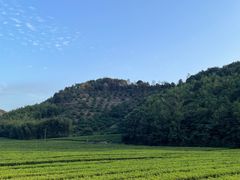 -东钱湖旅游度假区