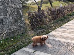 -长兴太湖图影湿地文化园