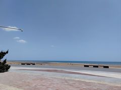 -日照海滨国家森林公园