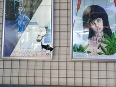 -移动谜城·大笨象密室逃脱(五棵松店)