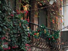 -西关84·History·Art·Cafe