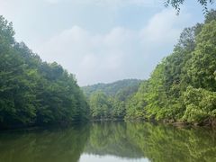 -青龙山国家森林公园