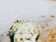 -坝光海滩