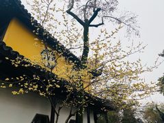 -寒山寺
