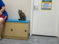 -美联众合爱康动物医院•复杂内科•肿瘤科•牙科•腔镜诊疗中心