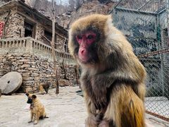 -山西通天峡景区