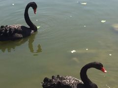 -活鱼馆(宜兴埠店)