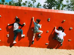 -春花秋色城市公园