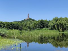 -北坞公园