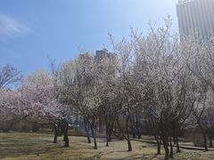 -长春公园(普阳街道)