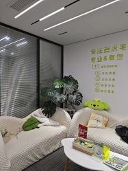 -凡碧诗毛孔清洁收细