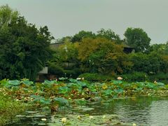 -西溪国家湿地公园