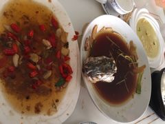 -煲来饱去冷水鱼