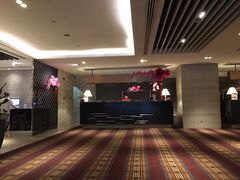 -新加坡乌节希尔顿酒店 (SG Clean)