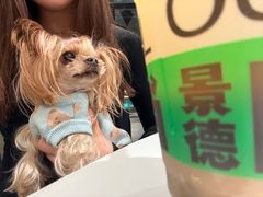 -欧记大排档·景德菜(上海首店)