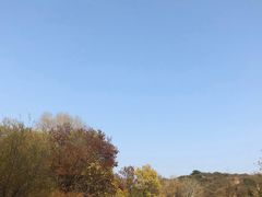 -大青沟风景区