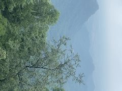 -青城山