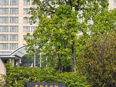 -德宏芒市国际机场