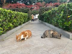 -上海不夜城广场(上海不夜城金融大厦店)