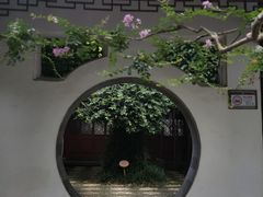 -上海醉白池公园