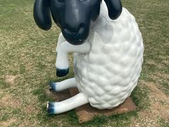 -大连铭湖国际观光牧场