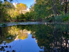 -北海道厅旧本厅舍(旧本庁舎)
