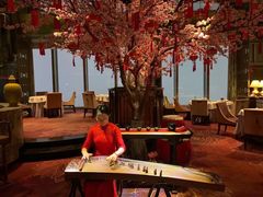-金轩中餐厅 Jin Xuan(浦东丽思卡尔顿酒店)