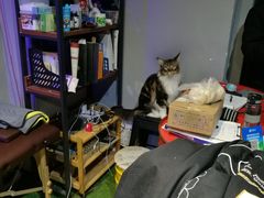 -BD健身(市北CBD店)