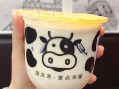 -TPLUS茶家(浦电路店)