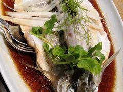 钱湖四宝-朋鱼-宁波柏悦酒店·钱湖渔港