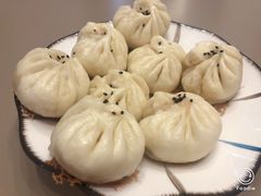 -田螺阿姨自营月嫂·育儿嫂(高新店)
