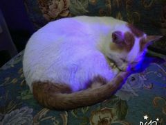 -星宿秘码(鼓浪屿老店)