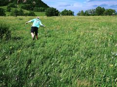 -白草畔自然风景区