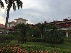 金棕榈酒店-三亚亚龙湾金棕榈度假酒店