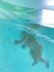 -趣游baby swim婴童游泳·盐氧护(旭辉u天地店)