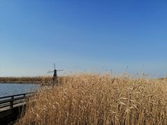 -宁波杭州湾国家湿地公园