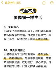 -克丽缇娜