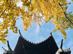 -宝通禅寺