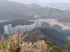 -梧桐山风景名胜区