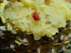 -云海肴·汽锅鸡·云南菜(天津国金汇店)