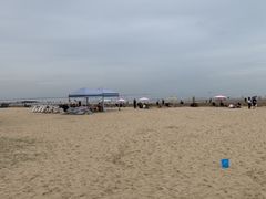 -日照海滨国家森林公园