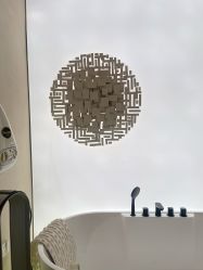 -Fundi张玉珊修身堂·indiba·BTL科技瘦身