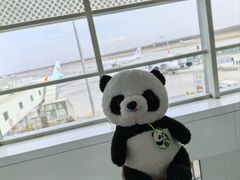 -银川河东国际机场