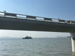 -演武大桥观景平台