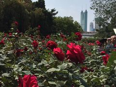 -人民公园(罗湖区)