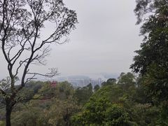 -大雁山风景区
