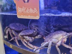 -七欣天香辣蟹火锅(扬州望月路店)