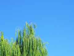 -上海交通大学(闵行校区)