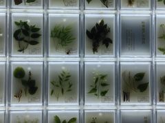 -广东中医药博物馆